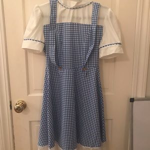 Dorothy and the Wizard of Oz costume